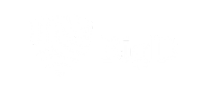 bigid
